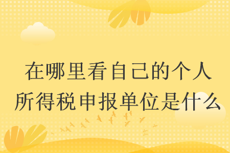 在哪里看自己的个人所得税申报单位是什么