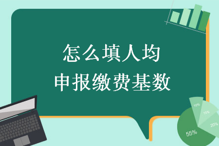 怎么填人均申报缴费基数